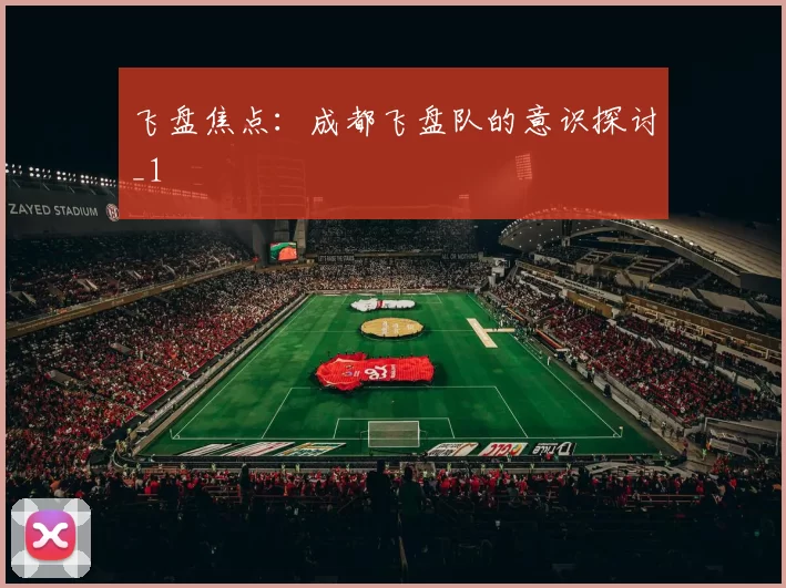 飞盘焦点：成都飞盘队的意识探讨_1