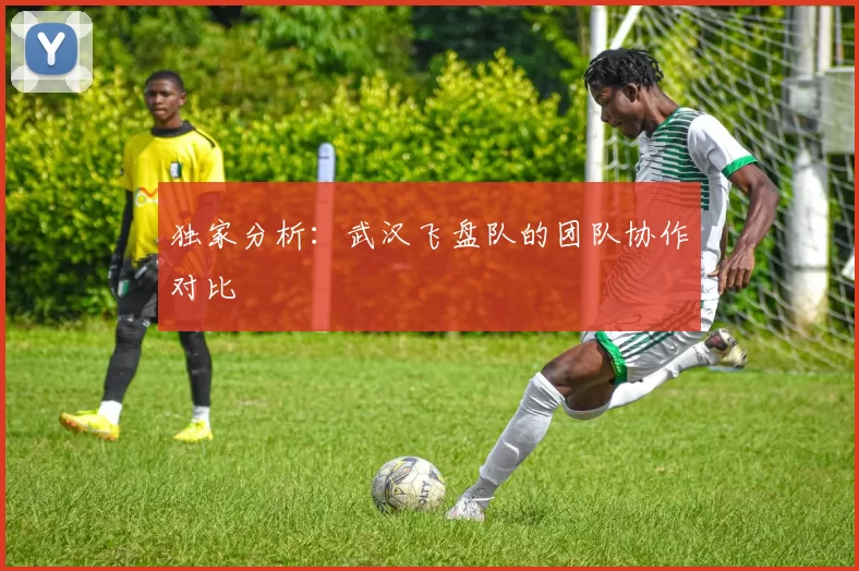 独家分析：武汉飞盘队的团队协作对比