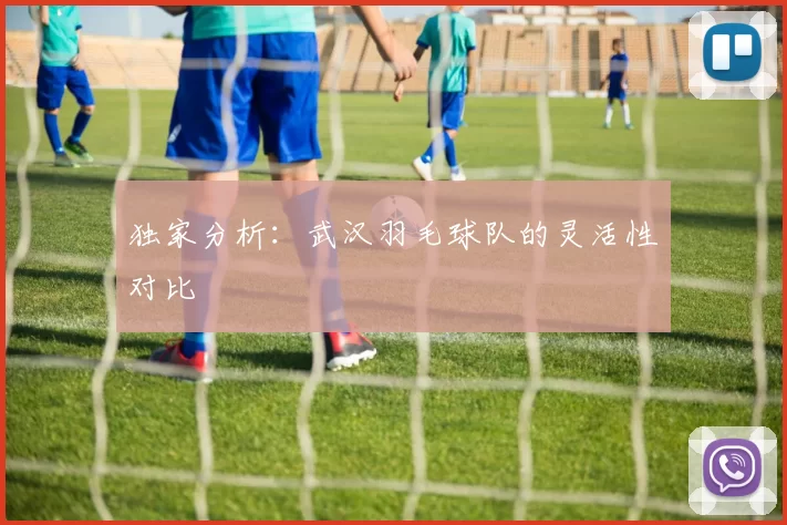 独家分析：武汉羽毛球队的灵活性对比