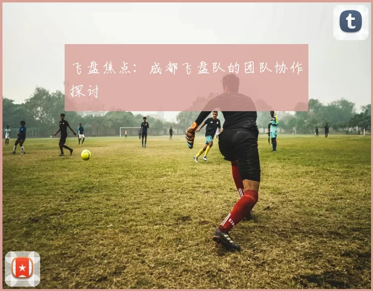 飞盘焦点：成都飞盘队的团队协作探讨